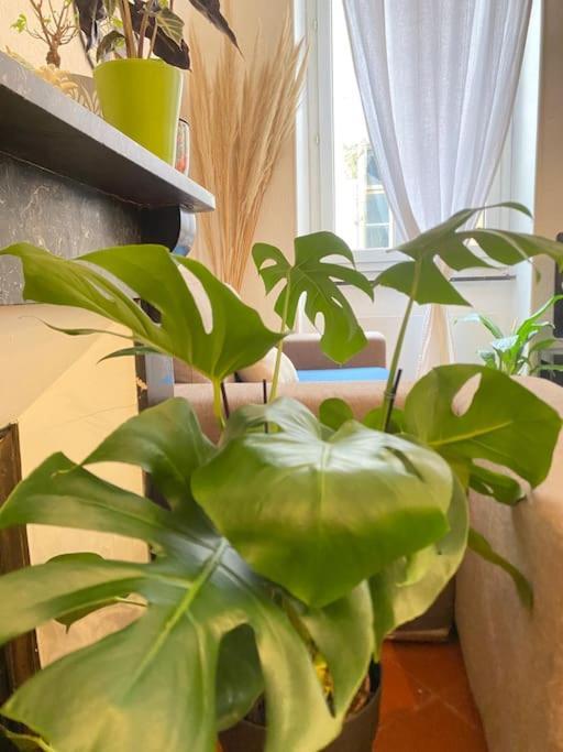 Appartement Le Jardin Secret De Nady à Carcassonne Extérieur photo